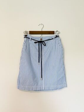 Talbots Blue and White Striped A-Line Skirt Size 2 Petite